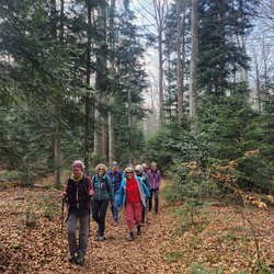 Frühlingswandern im Jura, 21.03.2026
