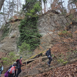 Vorfrühlingswanderung, 22.02.2026